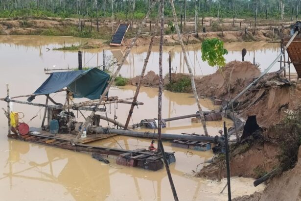 Minería Ilegal Moviliza Más de $2,200 Millones Entre 2022 y 2025: Urgen Reformas para Combatir Redes Criminales