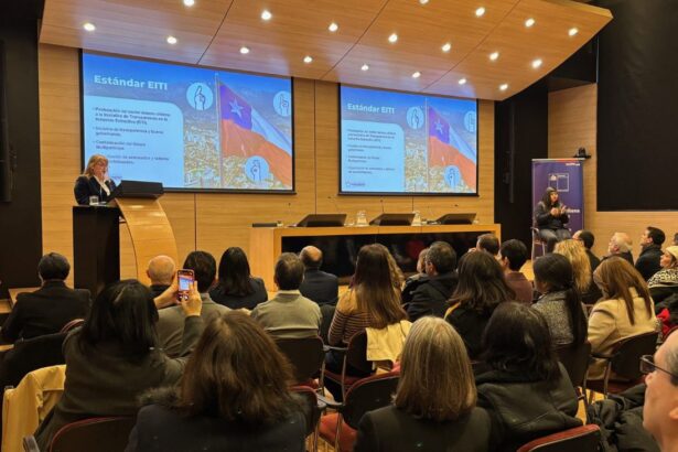 Cochilco proyecta inversiones por US$ 4.000 millones en Codelco y Enami para 2024, fortaleciendo su rol en fiscalización y asesoría minera