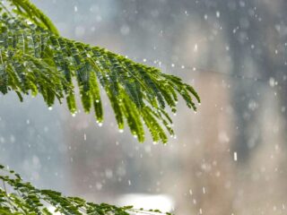 Alerta en Santiago: Lluvias intensas y bajas temperaturas pronosticadas para el inicio del invierno