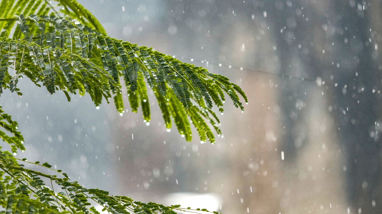 Alerta en Santiago: Lluvias intensas y bajas temperaturas pronosticadas para el inicio del invierno