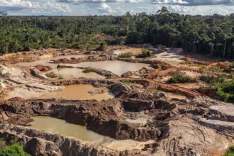 Minería Ilegal en Perú: UIF Revela Movimientos de US$ 2,248 Millones en Tres Años