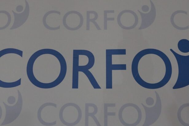 Corfo Lanza Programa Escalamiento 2025: Hasta $60 Millones para Emprendimientos Sostenibles en Chile