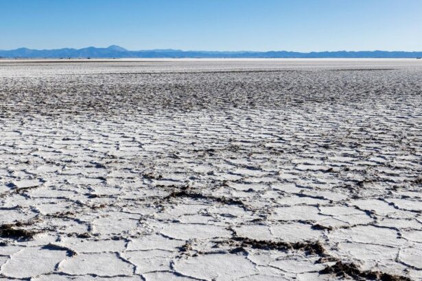 Descubrimiento Clave en Argentina: Agua Dulce Impulsa Proyecto de Litio en Río Grande