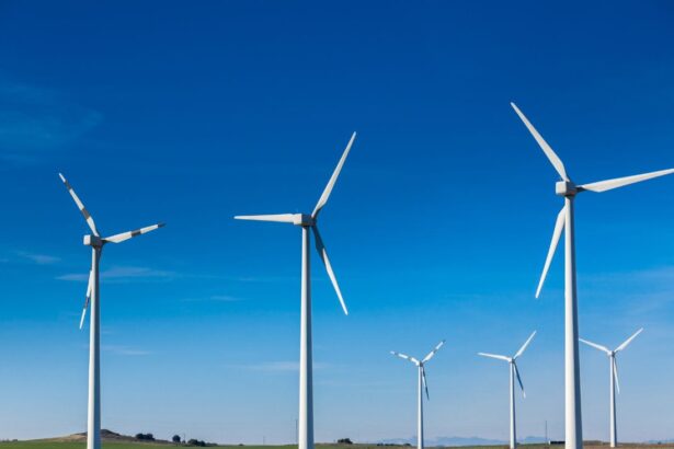 Impacto y Controversia del Nuevo Parque Eólico Alto Los Muermos: Capacidad de 430 MW y Desafíos Ambientales y Sociales