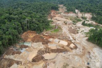 Minería Ilegal Arrasa 400 Hectáreas en Áreas Protegidas de Ecuador: Urgen Medidas Legislativas y Sostenibilidad