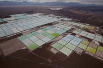 Mayoría en Chile apoya alianza Codelco-SQM para desarrollo de litio en Atacama según estudio UDD