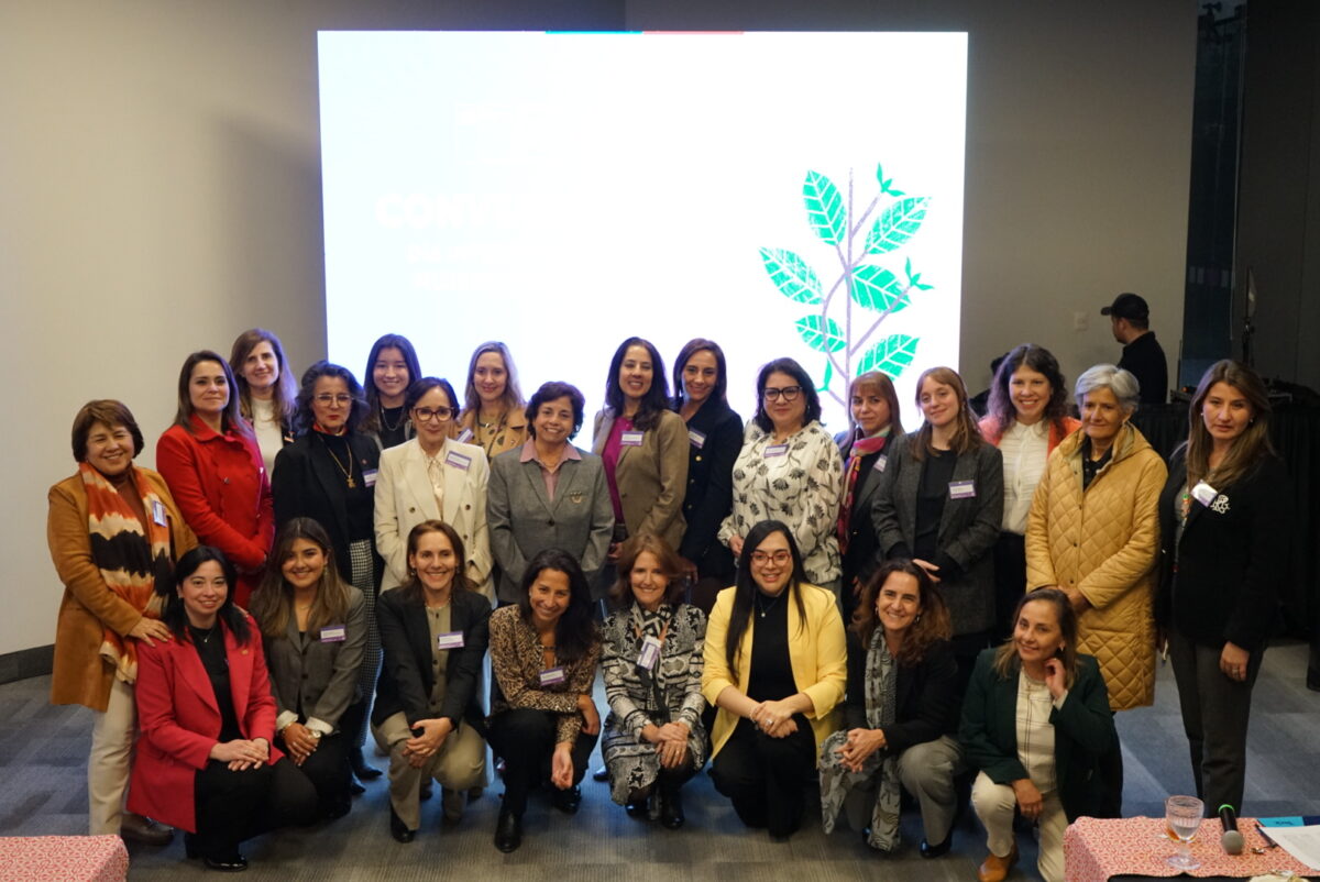 Ministerio de Minería inicia convocatoria para segunda versión de “Premio Karen Poniachik” Ministerio de Minería inicia convocatoria para segunda versión de “Premio Karen Poniachik”