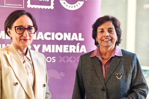 Ministerio de Minería inicia convocatoria para segunda versión de “Premio Karen Poniachik”