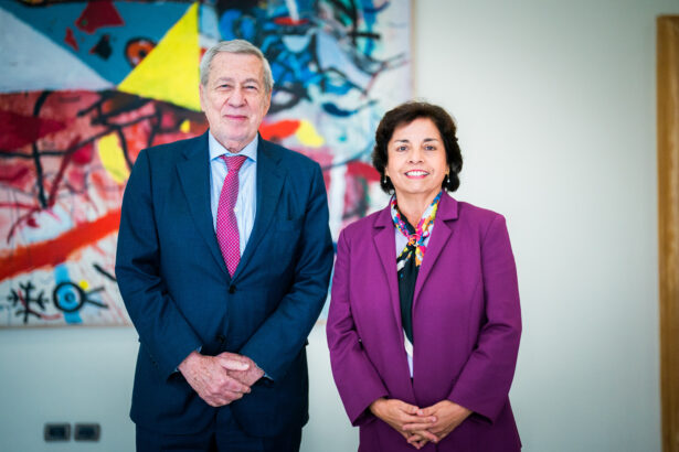 Estrategia de Minerales Críticos entra en fase decisiva con presentación de iniciativas y diálogo entre comités