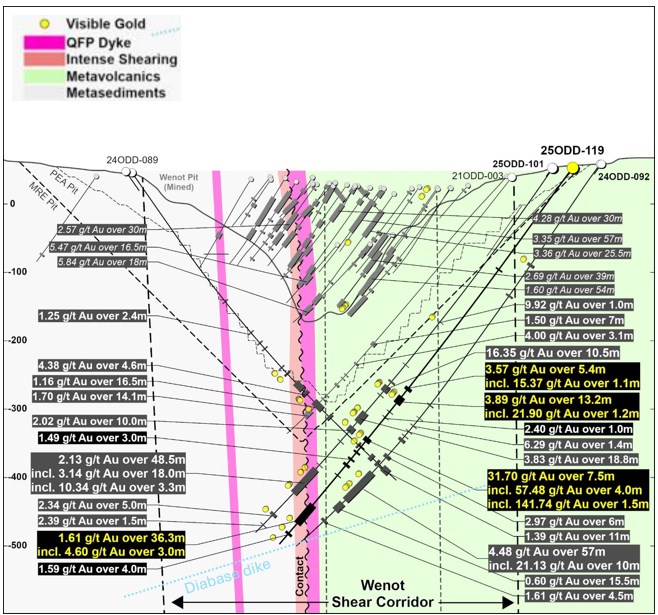 Guyana: Omai Gold Mines perfora 17,36 g/t Au en 7,5 m (tapado), 2,64 g/t Au en 41,8 m y 3,49 g/t Au en 17,4 m en el Programa de Expansión de Recursos en Wenot