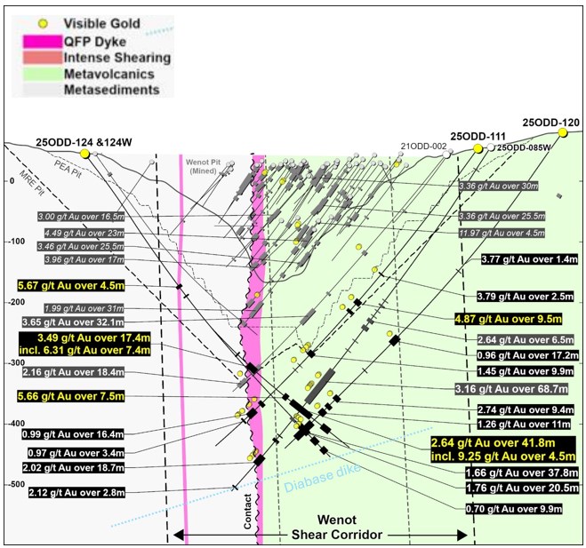 Guyana: Omai Gold Mines perfora 17,36 g/t Au en 7,5 m (tapado), 2,64 g/t Au en 41,8 m y 3,49 g/t Au en 17,4 m en el Programa de Expansión de Recursos en Wenot