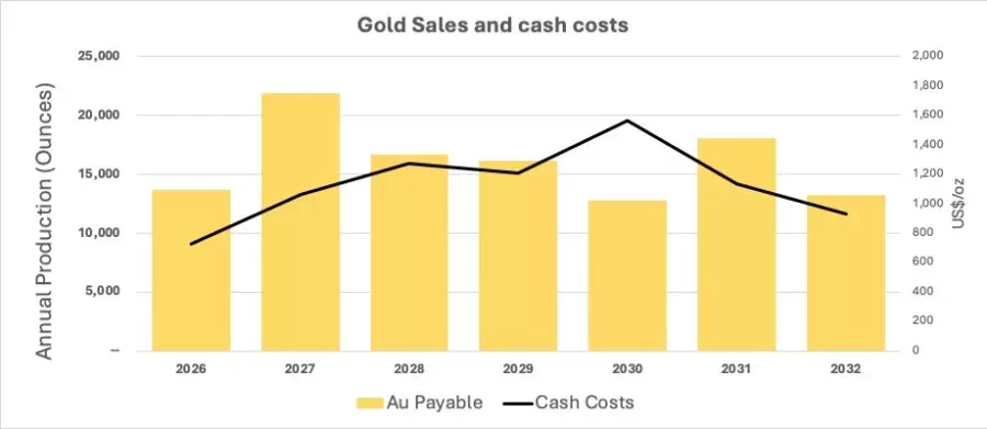 Brasil: Cabral Gold anuncia los resultados del estudio de prefactibilidad actualizado sobre la operación de iniciación de oro en óxido en el proyecto de oro Cuiú Cuiú
