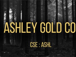 La reciente adquisición del 100% de Ashley Gold devuelve valores de alta ley, muestras de hasta 28,9 g/t Au en Brockman