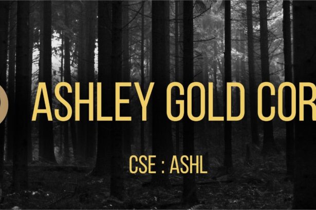 La reciente adquisición del 100% de Ashley Gold devuelve valores de alta ley, muestras de hasta 28,9 g/t Au en Brockman