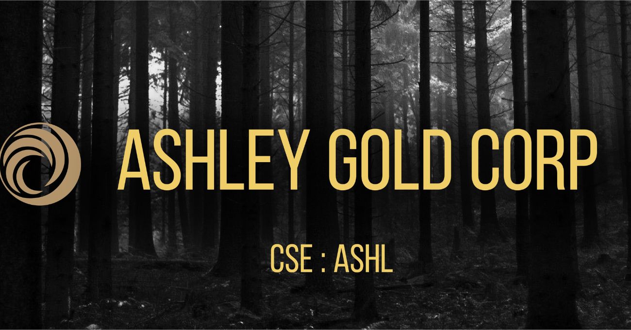 La reciente adquisición del 100% de Ashley Gold devuelve valores de alta ley, muestras de hasta 28,9 g/t Au en Brockman