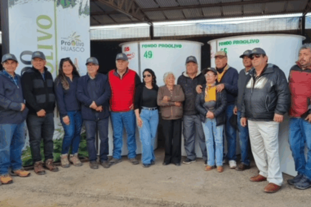 CMP Impulsan la producción olivícola del Huasco con nueva entrega del fondo proolivo a 150 agricultores