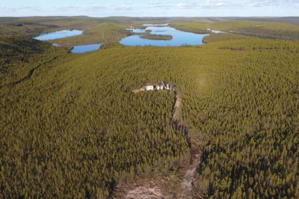Alaska: Los ensayos geoquímicos devuelven grados de uranio de hasta 85,4% de U3O8 en la zona de lucios de CanAlaska