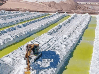 Economista chilena cuestiona acuerdo SQM-Codelco por falta de transparencia y maximización de rentas estatales.