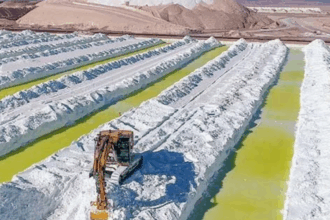 Economista chilena cuestiona acuerdo SQM-Codelco por falta de transparencia y maximización de rentas estatales.