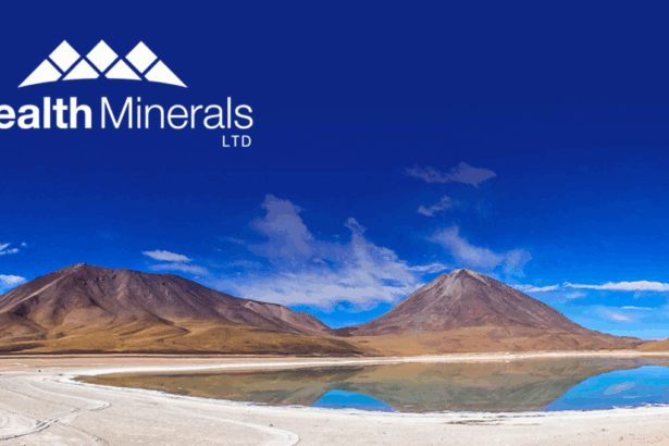 Wealth Minerals firma un memorándum de entendimiento con Voith Hydro