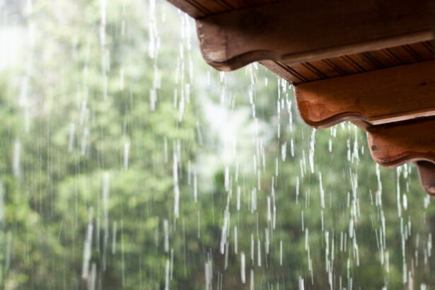 Pronóstico del Fin de Semana: Regiones del Sur de Chile Tendrán Lluvias y Nevadas