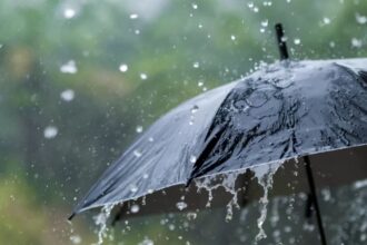 Lluvias, nieve y vientos: revisa qué regiones tendrán precipitaciones este martes 15 de julio