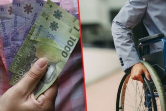 Subsidio de Discapacidad: revisa con tu RUT si accedes a los $112.002 mensuales del IPS