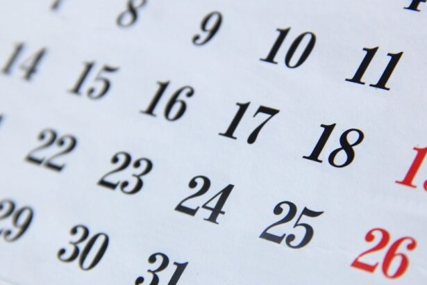 Próximo fin de semana largo en Chile será en agosto por feriado religioso