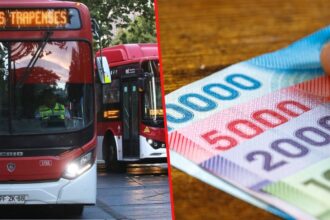 Adultos mayores acceden a 50% de descuento en el transporte público en todo el país