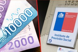 ¿Recibes algún beneficio del IPS?: revisa fecha y forma de pago solo con tu RUT