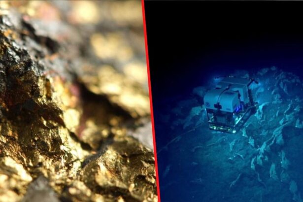 Hallan 20 millones de toneladas de oro en los océanos, pero su extracción es inviable