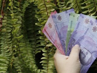 Bono de Protección: requisitos, montos y prioridades para recibir el beneficio