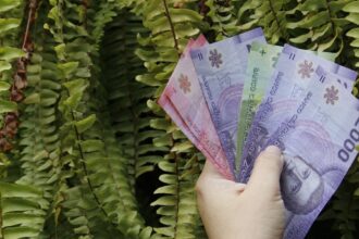 Bono de Protección: requisitos, montos y prioridades para recibir el beneficio