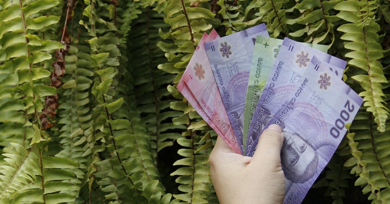 Bono de Protección: requisitos, montos y prioridades para recibir el beneficio