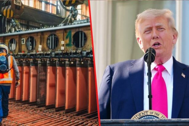 Trump excluye al cobre refinado chileno del nuevo arancel del 50%