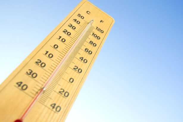 Alerta de Ola de Calor en el Sur de Chile: Altas Temperaturas Afectarán Cinco Regiones Cordilleranas Esta Semana
