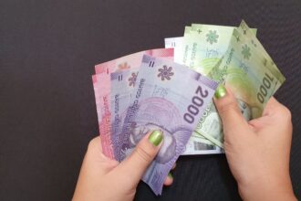 Todo lo que Necesitas Saber sobre la Pensión Básica Solidaria de Invalidez: Requisitos y Monto Actual