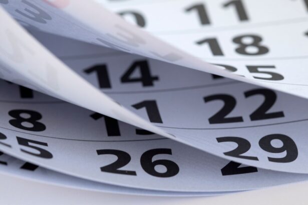 Fechas Clave de Feriados en Chile: Planifica Tu Descanso y Aprovecha los Fines de Semana Largos