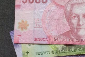 Guía Completa para Acceder a Beneficios Estatales por Desempleo: Seguro de Cesantía y Más Opciones Disponibles