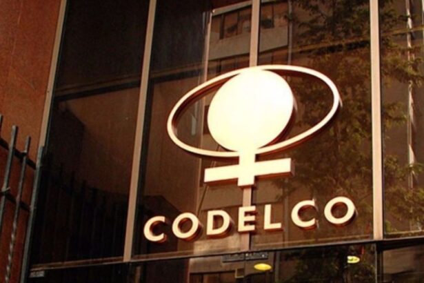 Codelco lidera como empresa estatal más valiosa en 2024 con un patrimonio de $11.212 millones y avanza en sostenibilidad