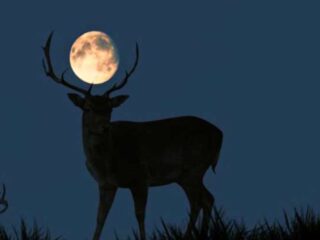 Luna de Ciervo 2025 y otros eventos astronómicos destacados en julio desde Chile
