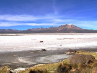Avances en Investigación de Salares en Chile: Estrategias y Colaboración para la Conservación Ambiental