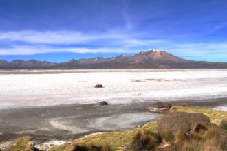 Avances en Investigación de Salares en Chile: Estrategias y Colaboración para la Conservación Ambiental