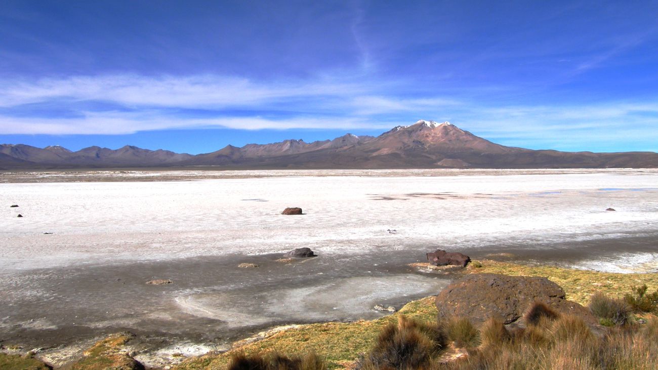 Avances en Investigación de Salares en Chile: Estrategias y Colaboración para la Conservación Ambiental