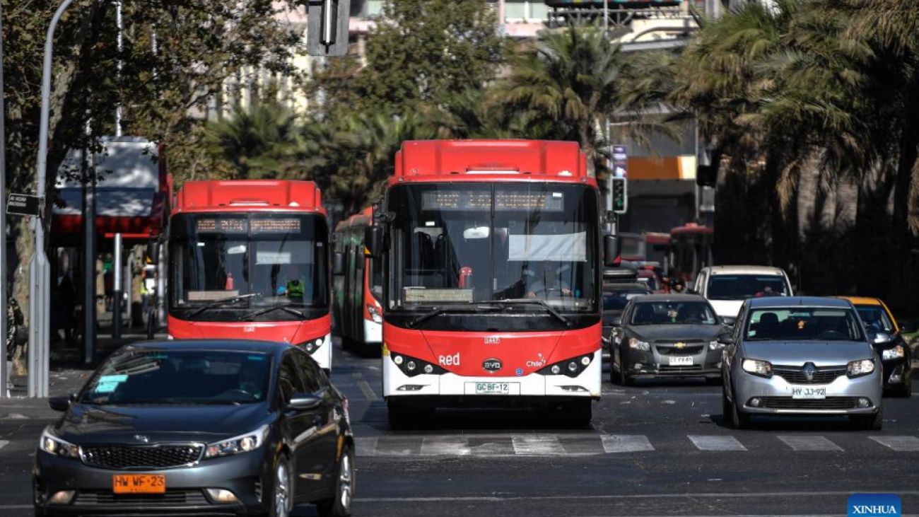 Descuento del 50% en Transporte Público para Mayores de 65: Cómo Solicitarlo y Requisitos