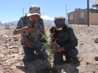 Fondo de Trabajadores "El Abra en Acción" 2025: 22 Proyectos Comunitarios Ganadores Impulsarán el Desarrollo en el Norte de Chile