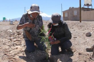 Fondo de Trabajadores "El Abra en Acción" 2025: 22 Proyectos Comunitarios Ganadores Impulsarán el Desarrollo en el Norte de Chile