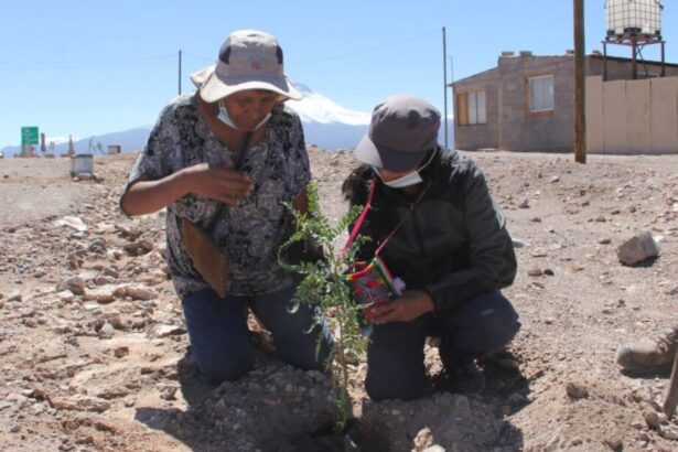 Fondo de Trabajadores "El Abra en Acción" 2025: 22 Proyectos Comunitarios Ganadores Impulsarán el Desarrollo en el Norte de Chile