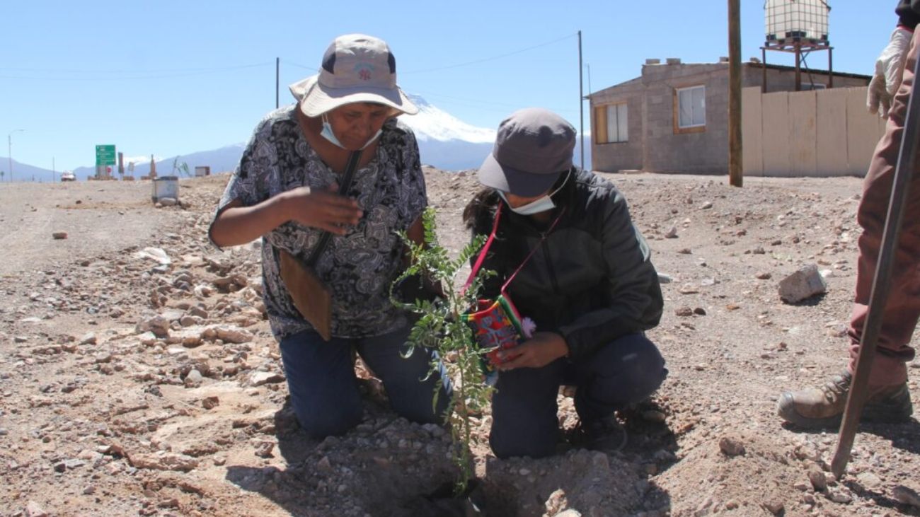 Fondo de Trabajadores «El Abra en Acción» 2025: 22 Proyectos Comunitarios Ganadores Impulsarán el Desarrollo en el Norte de Chile