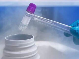 Congelación de óvulos en Chile: altos precios y limitada cobertura desafían la accesibilidad a tratamientos de fertilidad